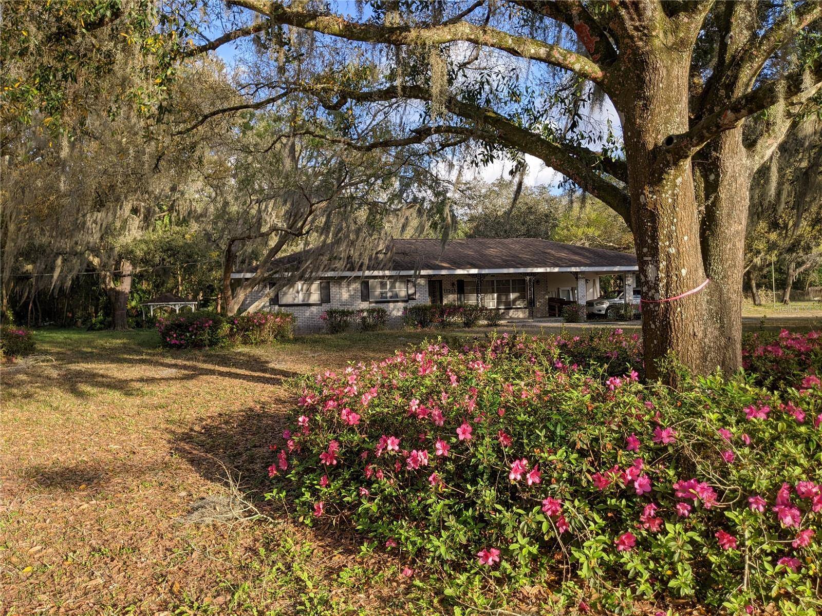 11215 DAVIS RD, Tampa