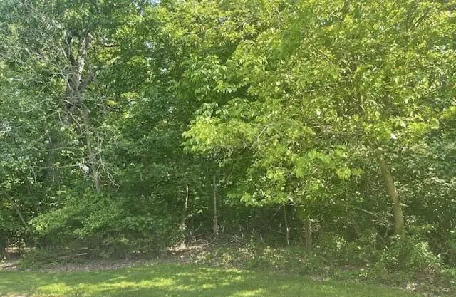 106 W 133rd AVE, Cedar Lake, IN 46303