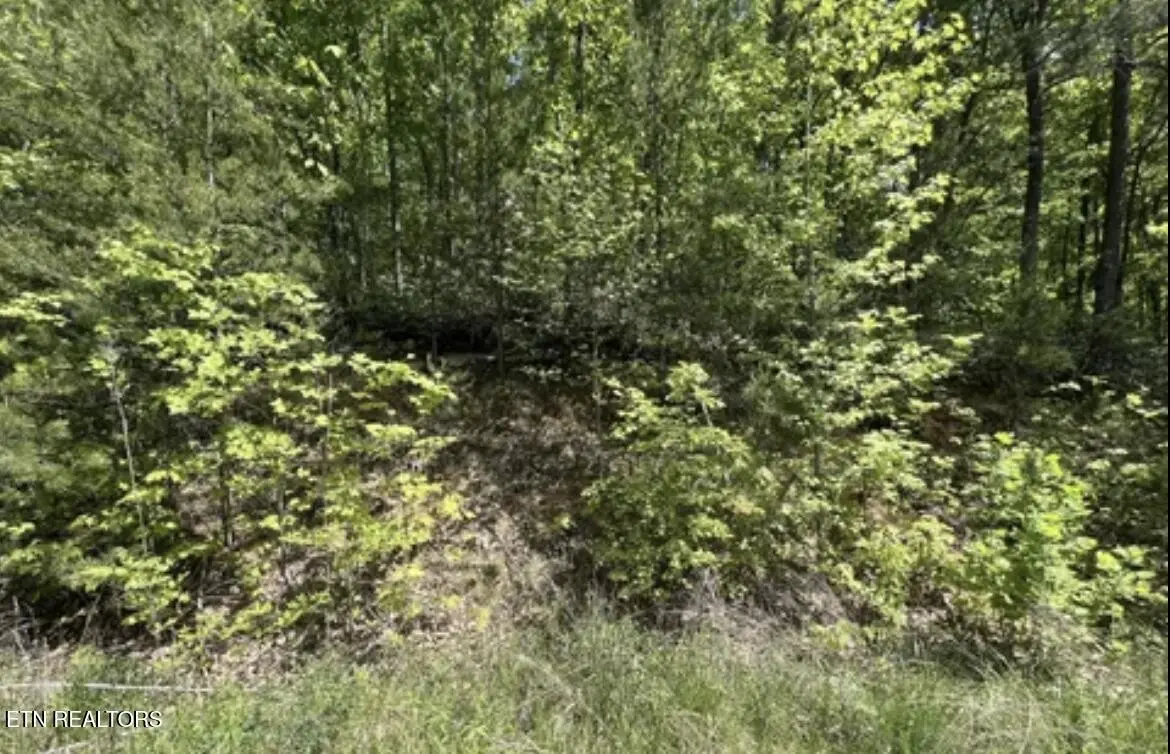 22 Green Meadows Dr, Sevierville, TN 37876