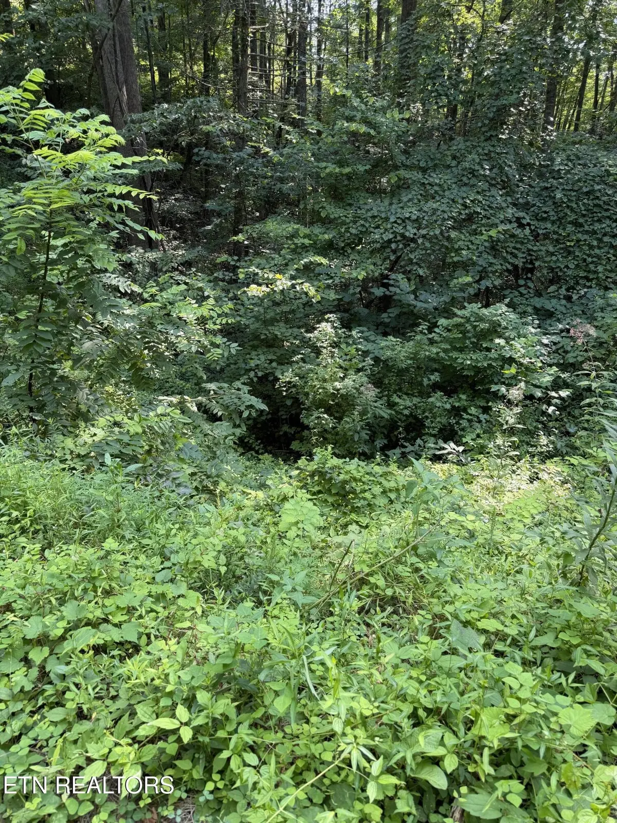 0 Butternut Lane, Sevierville, TN 37876
