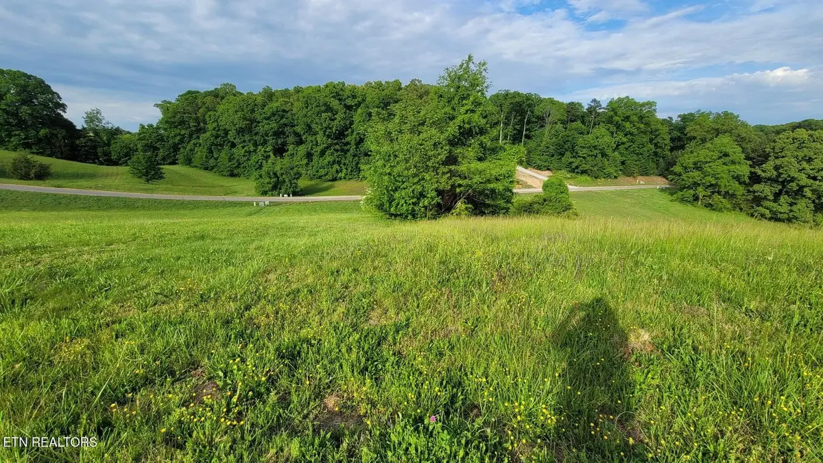 0 Shiloh Springs Rd, Rutledge, TN 37861
