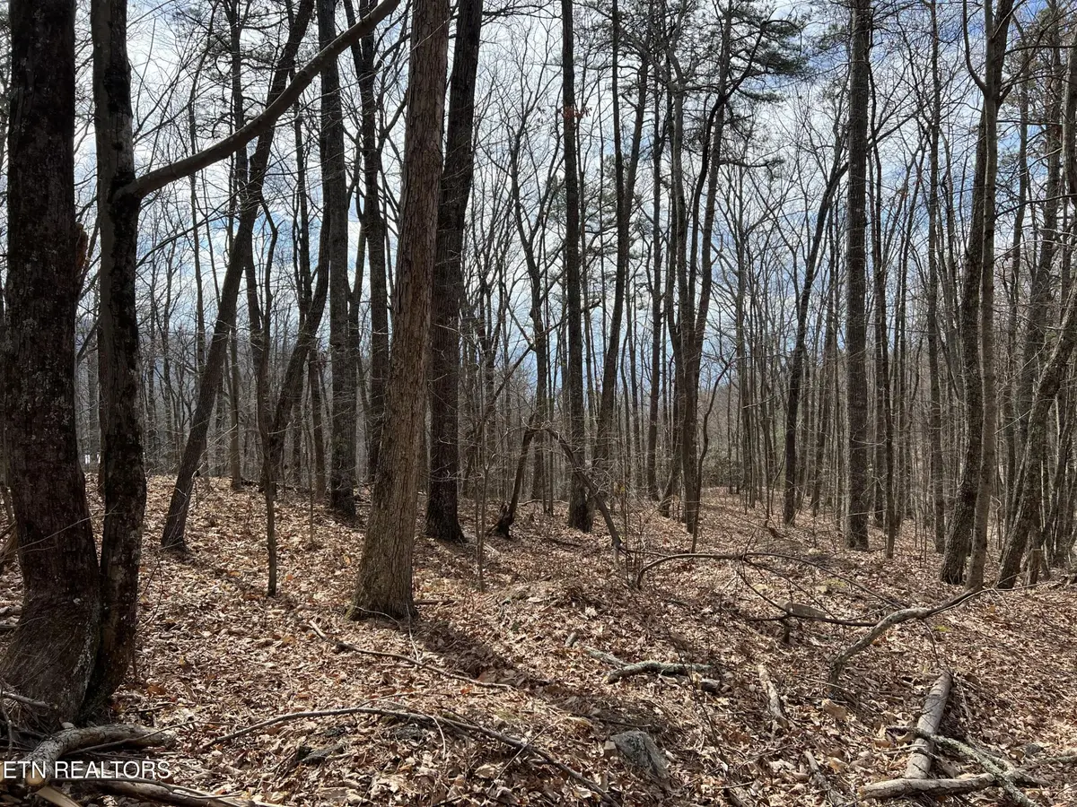 0 Swann Saddle, Sevierville, TN 37876