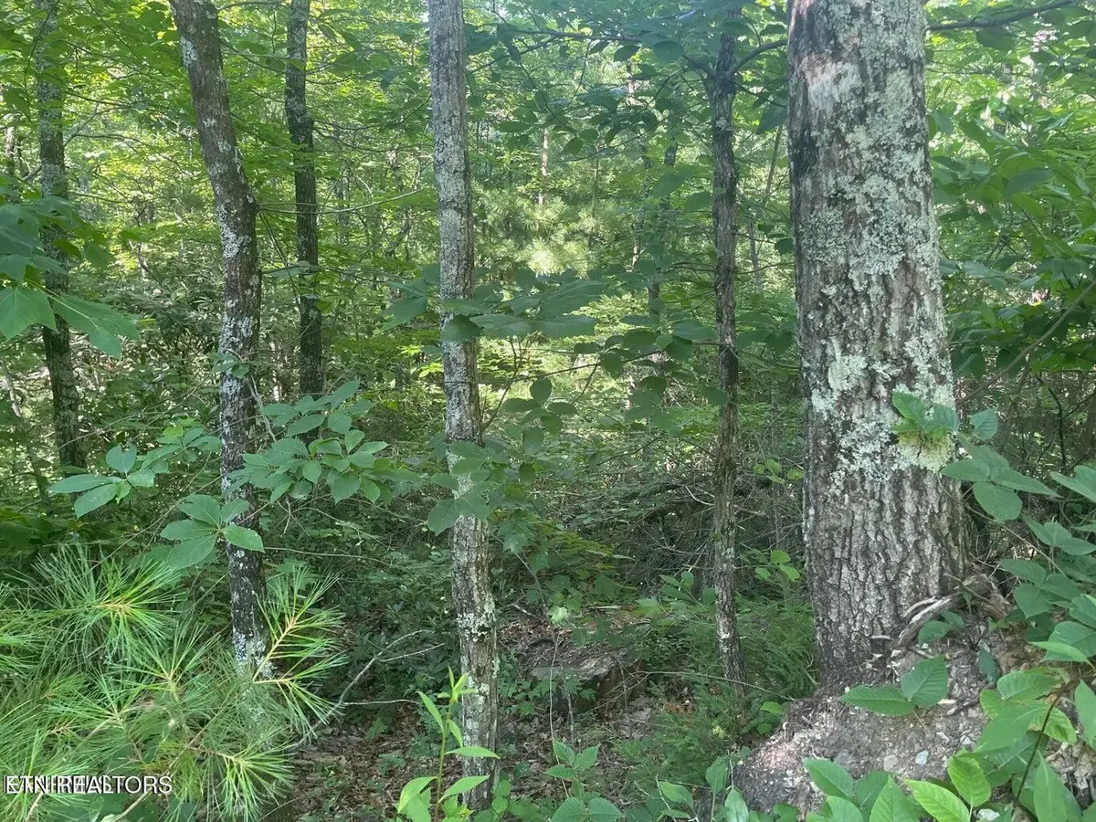 71 Hazelnut Lane, Sevierville, TN 37876