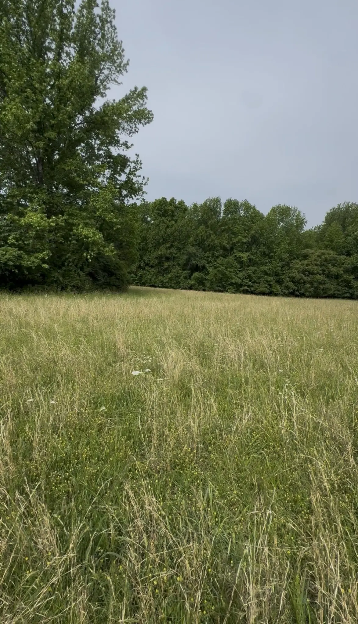 0 Riverview Road, Mount Juliet, TN 37122