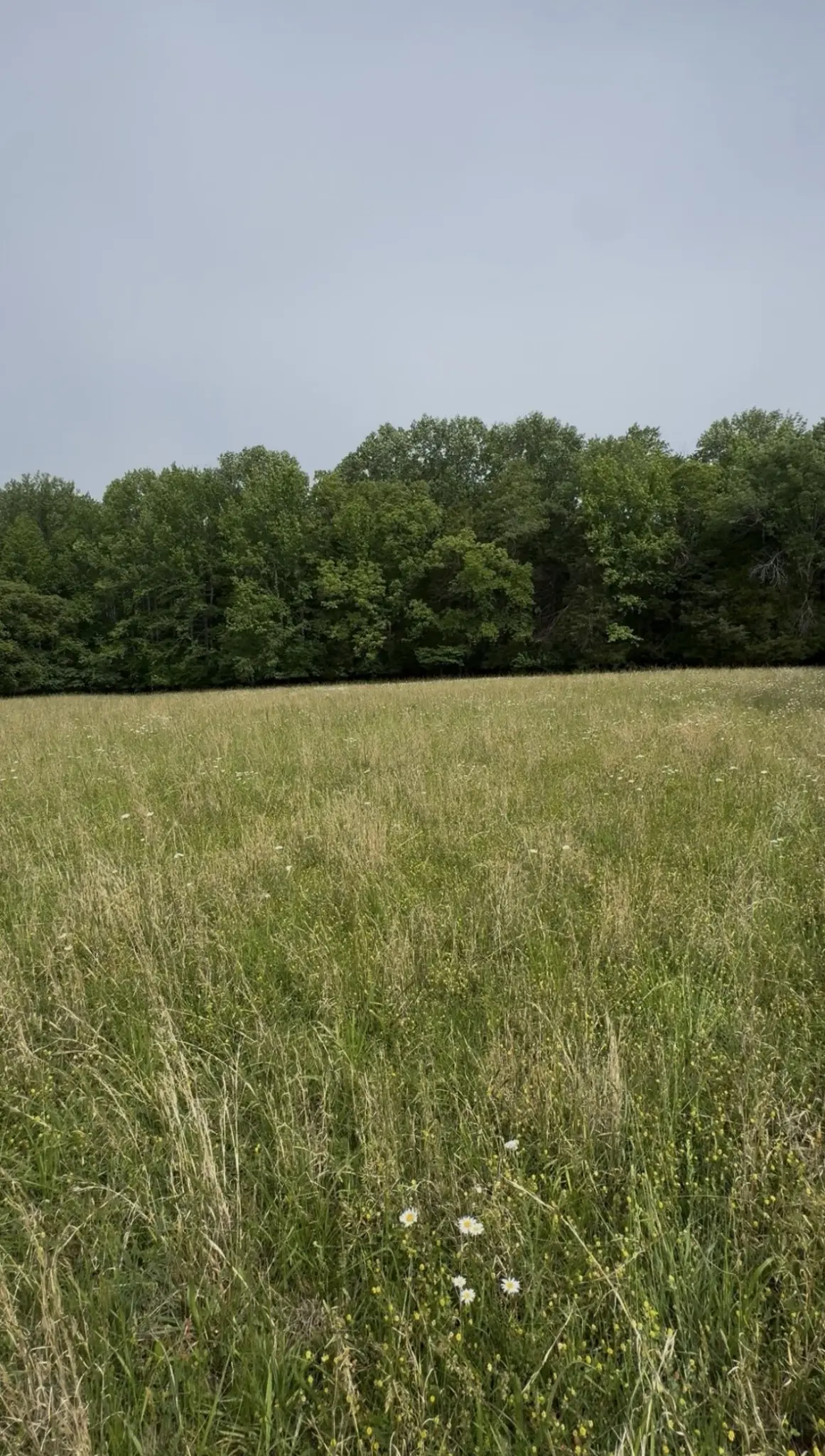 0 Riverview Road, Mount Juliet, TN 37122