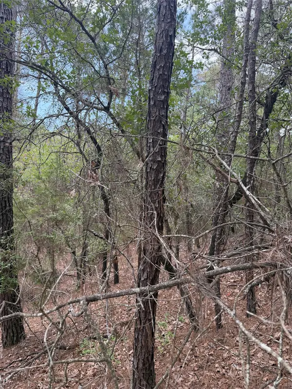 Lots 213 and 214 Hekili DR, Bastrop, TX 78602