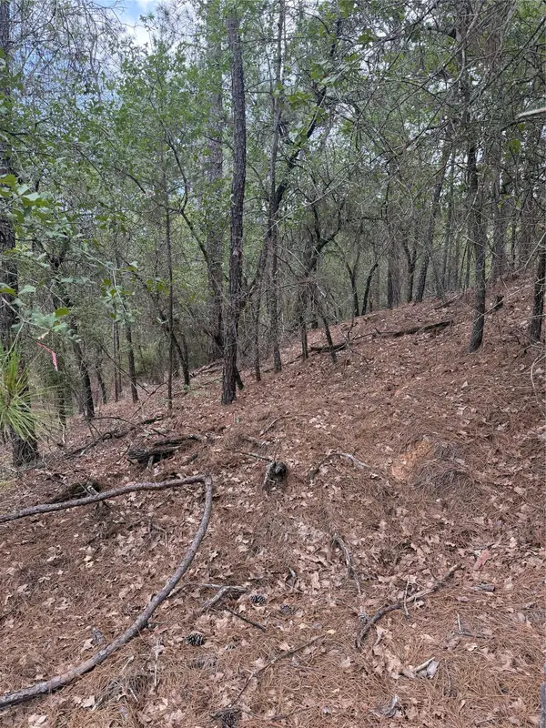 Lots 213 and 214 Hekili DR, Bastrop, TX 78602