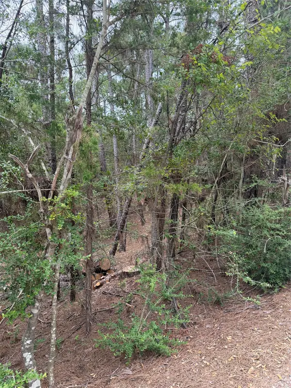 Lots 213 and 214 Hekili DR, Bastrop, TX 78602
