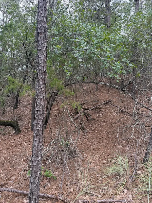 Lots 213 and 214 Hekili DR, Bastrop, TX 78602