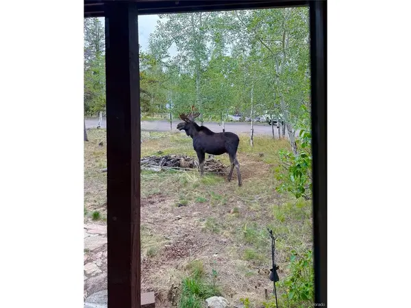 10444 Crystal, Morrison, CO 80465