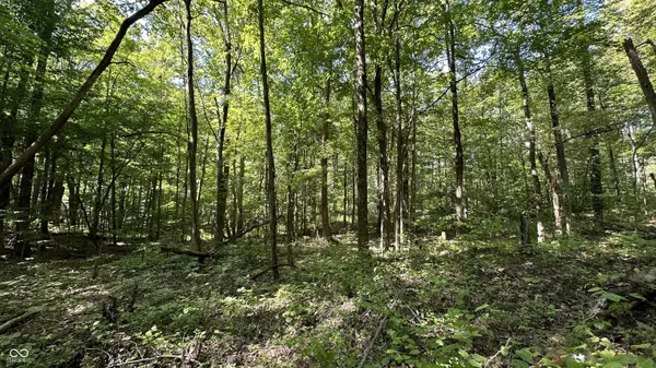 2 Fiscus Cemetery RD, Coal City, IN 47427