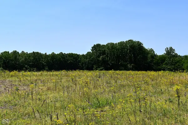 Lot 4 Whitetail RDG, Mooresville, IN 46158