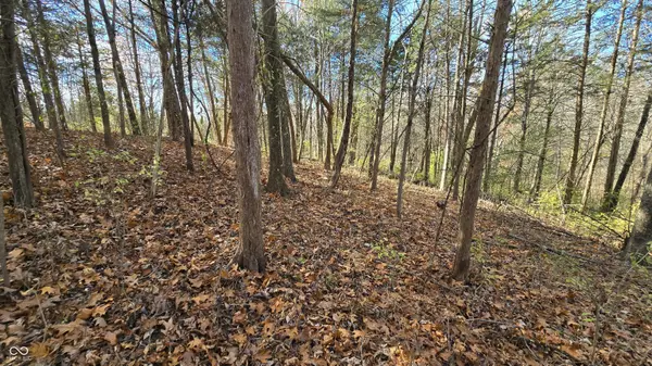 0 S Cr 575 E, Cross Plains, IN 47017