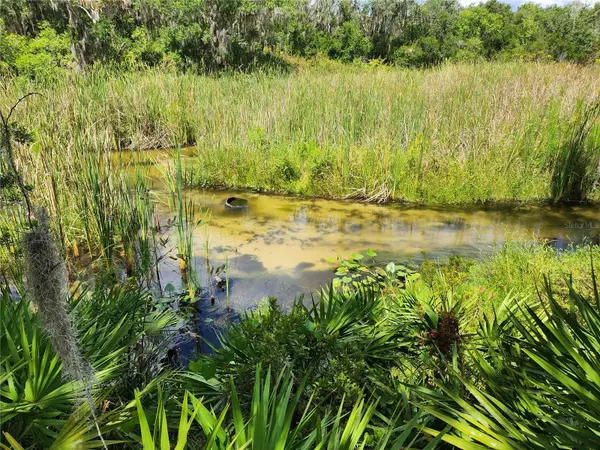 DEER RD, Frostproof, FL 33843