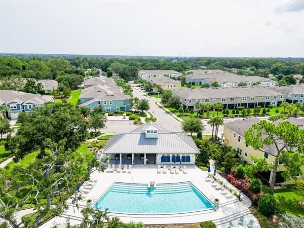 2404 ARCH AVE, Oldsmar, FL, 34677 photo 64