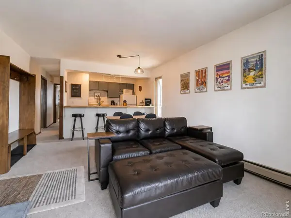 18 County Road 838 #1-5, Fraser, CO 80442