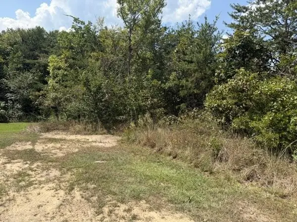 152 County Road 971, Flat Rock, AL 35966