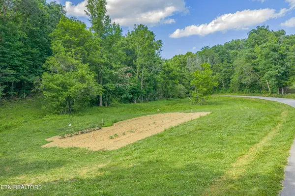 0 Dark Hollow Rd, Andersonville, TN 37705