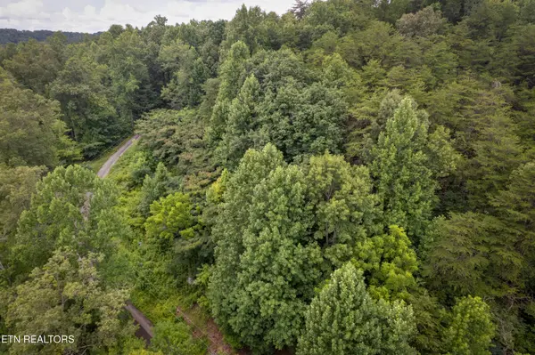 2 Verless Ogle Rd, Sevierville, TN 37876