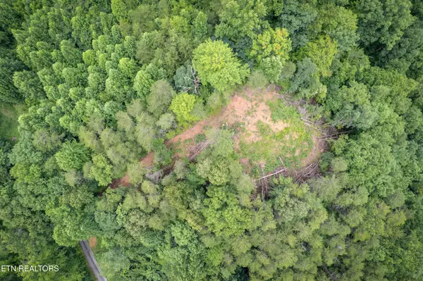 2 Verless Ogle Rd, Sevierville, TN 37876