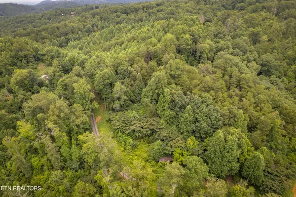 2 Verless Ogle Rd, Sevierville, TN 37876
