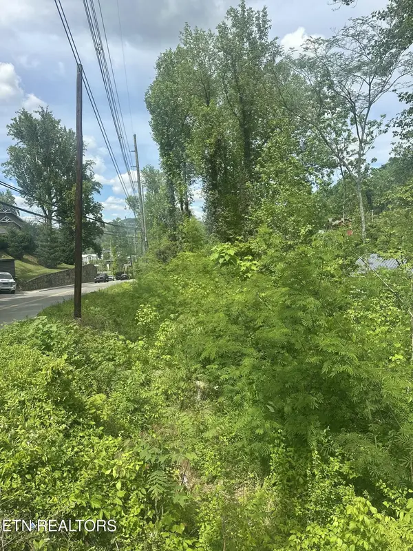519 Cherokee Orchard Rd, Gatlinburg, TN 37738