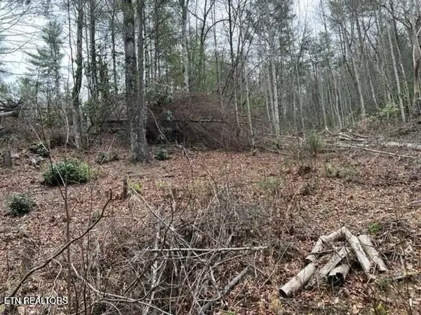 0 Coy Rhea Way, Sevierville, TN 37876