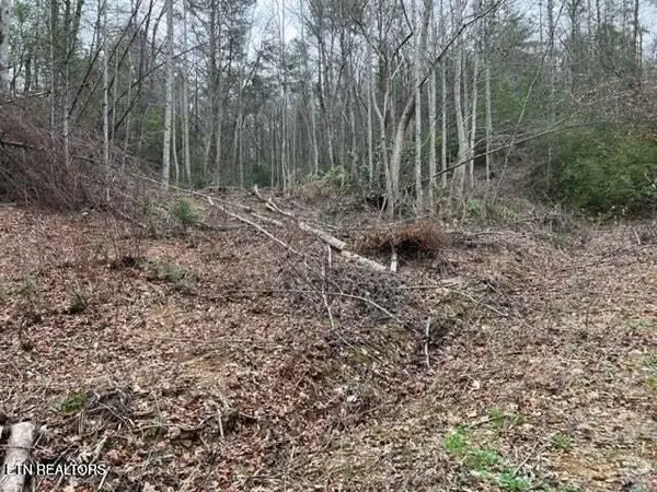 0 Coy Rhea Way, Sevierville, TN 37876