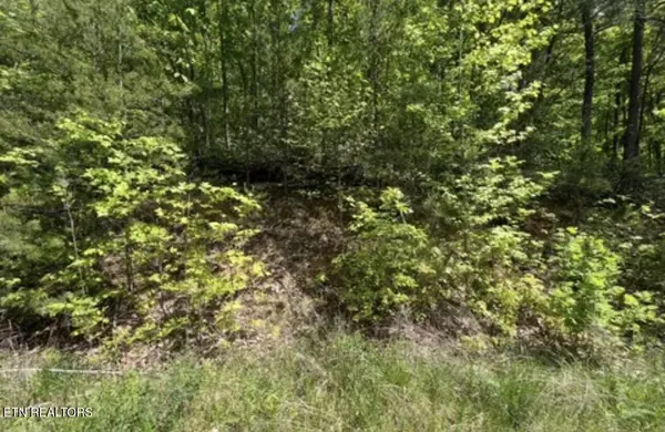 50 Yellowwood Drive, Sevierville, TN 37876