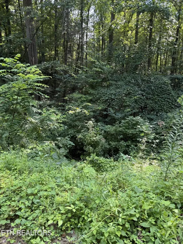 0 Butternut Lane, Sevierville, TN 37876