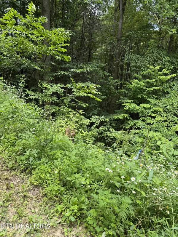 0 Butternut Lane, Sevierville, TN 37876