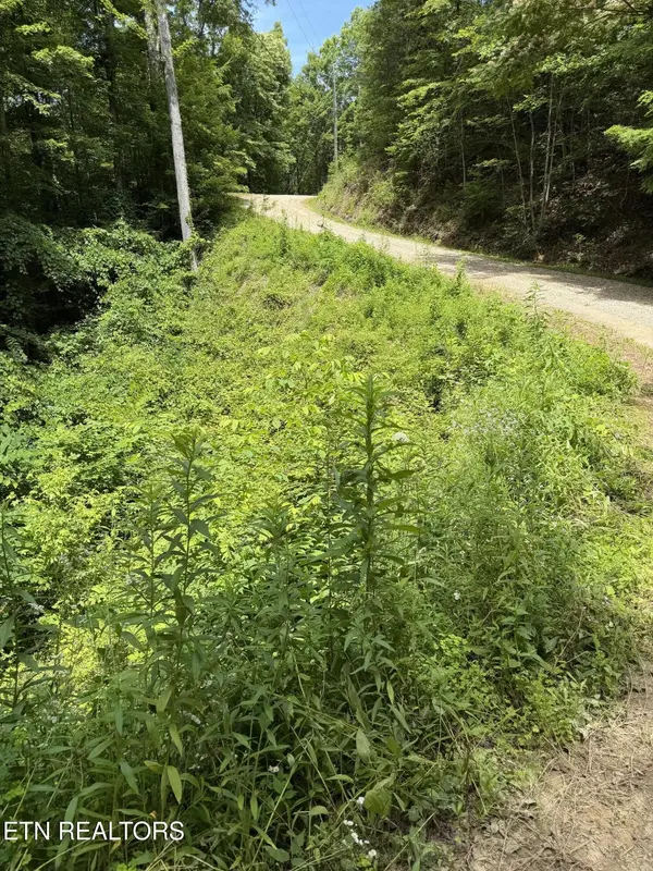 0 Butternut Lane, Sevierville, TN 37876