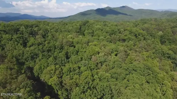 0 Fox Hunters Lane, Sevierville, TN 37876