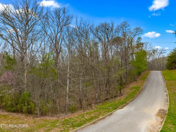 107 Turtle Dove Tr, Dandridge, TN 37725