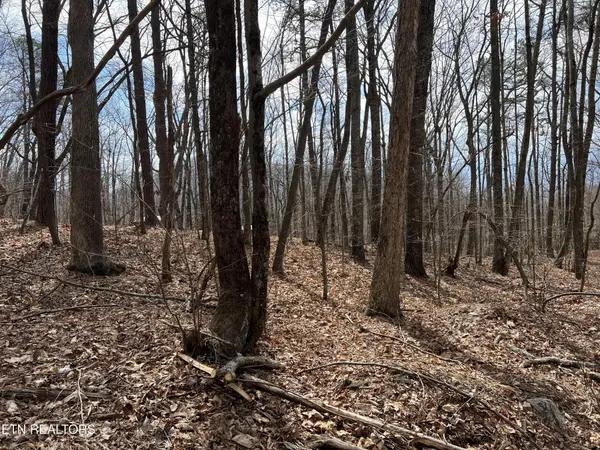 0 Swann Saddle, Sevierville, TN 37876