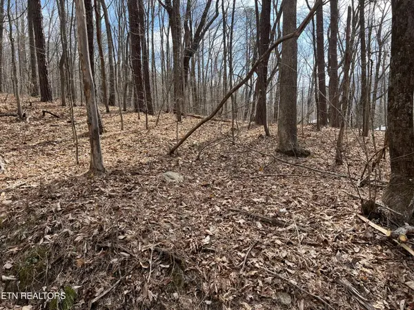 0 Swann Saddle, Sevierville, TN 37876