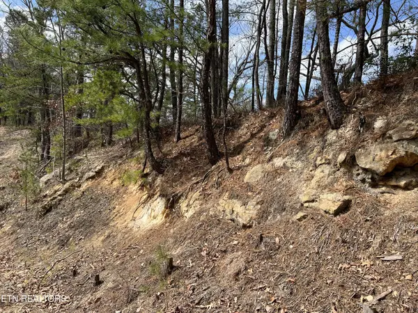 0 Chestnut Ridge Court, Sevierville, TN 37876