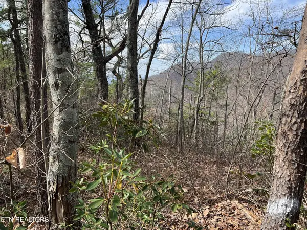 0 Chestnut Ridge Court, Sevierville, TN 37876