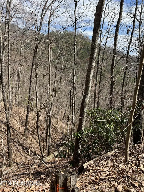 0 Aintree Drive, Sevierville, TN 37876
