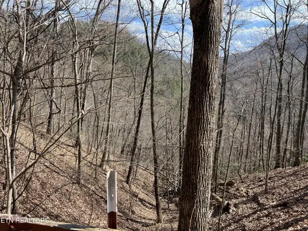 0 Aintree Drive, Sevierville, TN 37876
