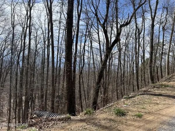 0 Clingmans View, Sevierville, TN 37876