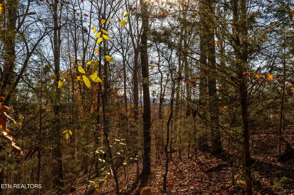 0 Moonside Lane, Sevierville, TN 37876