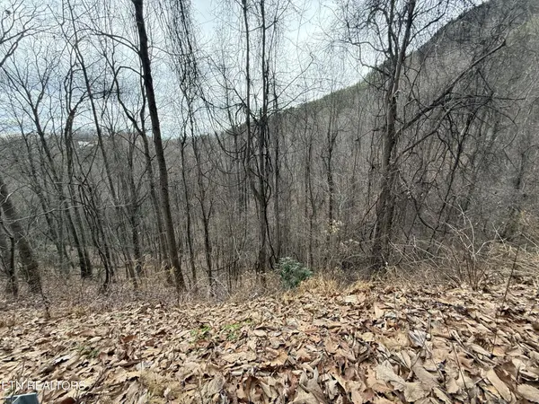 34 Alpine Drive, Sevierville, TN 37876