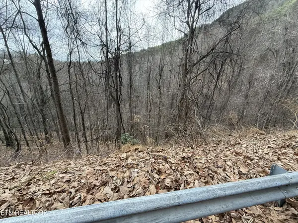 34 Alpine Drive, Sevierville, TN 37876