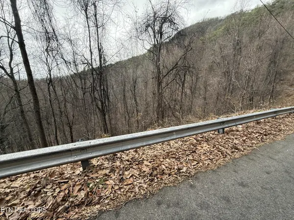 34 Alpine Drive, Sevierville, TN 37876