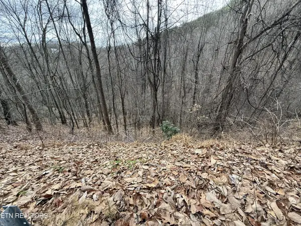 34 Alpine Drive, Sevierville, TN 37876