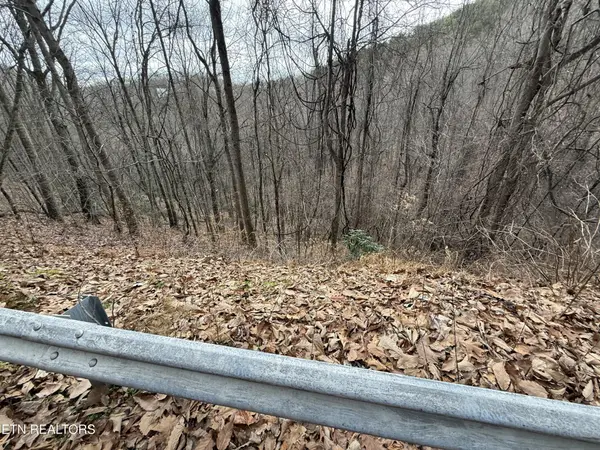34 Alpine Drive, Sevierville, TN 37876