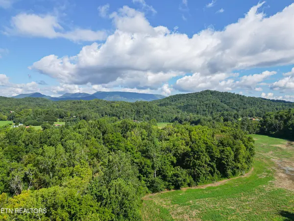 61 Cosby Hwy, Cosby, TN 37722