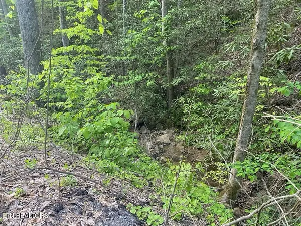 26 Alpine Drive, Sevierville, TN 37876