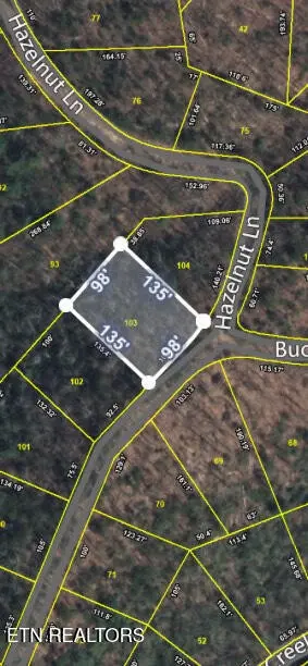 103 Buckeye Rd, Sevierville, TN 37876